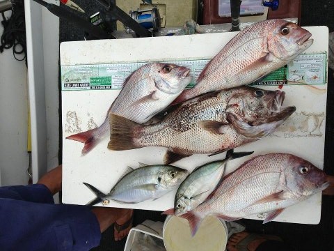 nice day "out wide" nice day "out wide"